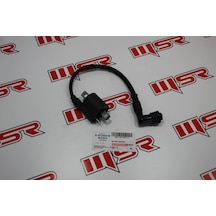 Cyrpton Jıanshe Ateşleme Bobini (490497008)