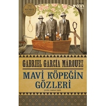 Mavi Köpeğin Gözleri - Yqbx-646838