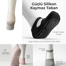 Çok Renkli