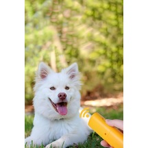 Köpek Eğitimi İçin Ve Köpek Uzaklaştırıcı
