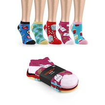 Ozzy Socks 5 Çift Eğlenceli Desenler Kadın Patik Çorap Ozzyp001