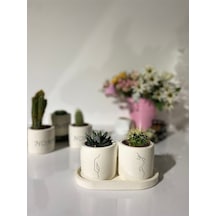 Tabaklı Minimal Kadın Silüeti Desenli El Çizimi Saksı Seti