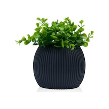 Coral Yuvarlak Saksı - 0,70 Lt - Asorti