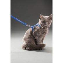 Thentech Yeni Nesil Kedi Tasması Dışarıda Gezdirmek İçin Rahat Kullanım Göğüs Tasması