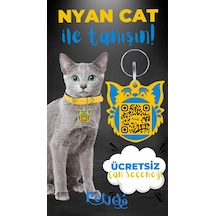 Petjoo 2.Nyan Cat Mavi-Sarı Qr'lı Kedi Künyesi