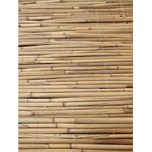Greenosier Doğal Hasır Kamış Gölgelik Dekorasyon Balkon Teras Pergola Bahçe 50cm X 2metre