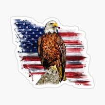 Araba Için Kartal Sticker Yapıştırma Etiket Amerikan 17Cm
