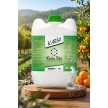 10 L