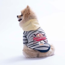 Sarı Seattle Pitch Köpek Hoodie Köpek Sweat Köpek Kıyafeti Kedi Kıyafeti
