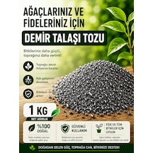 1 KG