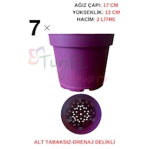 Mor 17cm