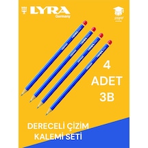 3b