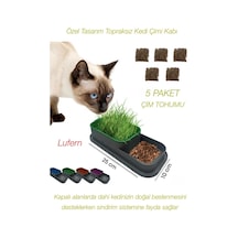 Özel Tasarım Topraksız Kedi Çimi Kabı Hidroponik Sistem Doğal Lif Çim Tohumu Yer Kaplamaz 25x10 Cm