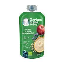 Gerber Organic Yulaflı Elma Ve Yaban Mersini 110g Gbr-4466 GBR-4466