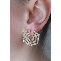 Vıp Çelik 14k Altın Kaplama Zirkon Taş İşlemeli Hexagon/altıgen Küpe