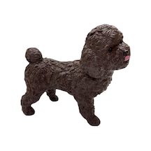 Soft Köpekler - Poodle Cinsi Köpek - E013 Lisinya