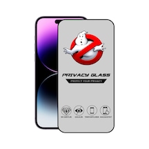 Apple Uyumlu   iPhone 14 Pro Max Tam Kaplayan Temperli Gizli Hayalet Ekran Koruyucu