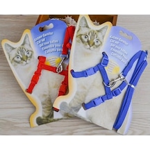Kedi Boyun Ve Göğüs Tasması Diğer