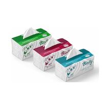 Biolly Facial Tissues Kutu Mendil 425 Yaprak 225 Gr - Koli 10 Adet