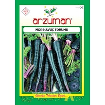 Arzuman Şalgamlık Mor-Siyah Havuç Tohumu 10 G
