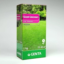Ayrex Güzel Görünüm Çim Tohumu 1 Kg 0,250