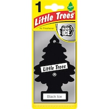 4 Adet Car Freshner Asma Koku Siyah Buz