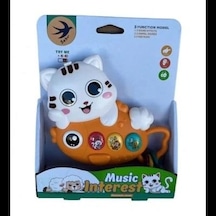 Mey İthalat 855-202d Pilli Müzikli Kedi -zrv