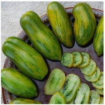 Green Sausage Domates Tohumu