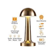 Oval - Metal Mantar Masa Lambası Dokunmatik - Renkli Type-c Şarjlı 3 Fonksiyonlu Yl86-1231 4915 Çok Renkli