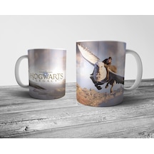 Pixxa Hogwarts Legacy Kupa Bardak Model 3