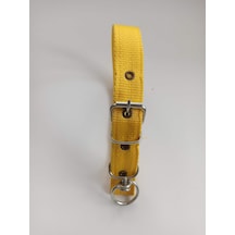 Kozaklı Orta Irk Köpek Tasması Sarı 60 x 3 CM