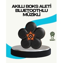 Lvsqvr Ev Tipi Akıllı Boks Duvar Paneli Müzikli Bluetoothlu Refleks Geliştirme Cihazı