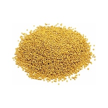 Sarı Hardal Tohumu 250 G