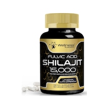 Wellnees Labs Himalayan Shilajit For Men Energy And Immune Suppor