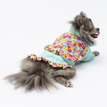 Mint Victoria Köpek Mont Köpek Yağmurluk Köpek Kıyafeti Köpek Elbisesi