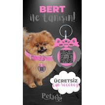Petjoo 13.Bert Gri-Pembe Qr'lı Köpek Künyesi