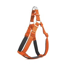 Köpek Bel Tasması 70cm Large Tcu Çok Renkli