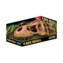 Exo Terra T-rex Kafatası, Sürüngenler Ve Amfibiler İçin Güvenli Saklama, Büyük, 1 Adet Tekli Paket