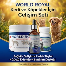 Köpek Collojen Msm Amino Probiyotik
