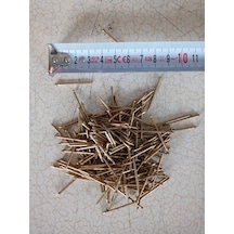 1 Kğ - 3 CMlik Tel Çivi-Sarı-Tepesiz-Başsız