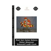 Çok Renkli