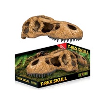 - 891 - Terra Trex Kafatası Şekilli - Kmrsfres - Sürüngen Yuvası