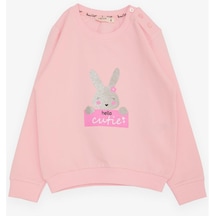 Breeze Kız Çocuk Sweatshirt Sevimli Simli Tavşancık Baskılı 1.5-5 Yaş, Pembe-pembe Pembe