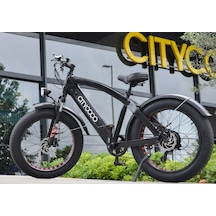 Citycoco Fatbike 250W