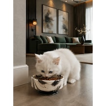 Mama Kabı Kedi Ve Köpek 1 Adet Doğal Mama Veya Su Kabı Siyah Marble