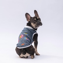 Lacivert Space Time Kedi Köpek Tişörtü - Kedi Köpek Kıyafeti
