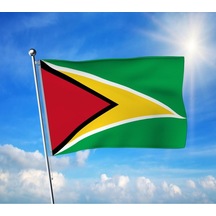 Guyana Devleti Bayrağı Premium Raşel Kumaş 70x105 Cm Diğer