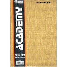 Defter 300 Yaprak Çizgili 20x28 Sert Kapak Ciltli Metalik Altuni