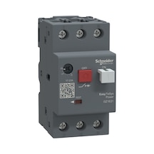 Gz1e21 17-23a Motor Koruma Rölesi Schneider
