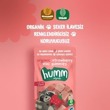 Organik Çilekli Glutensiz Vegan Mini Küpler 30 Gr - Özel Seri 352415-00007